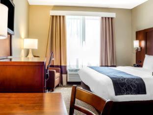 Fairfield By Marriott Inn & Suites Scottsdale Old Town Номер фото